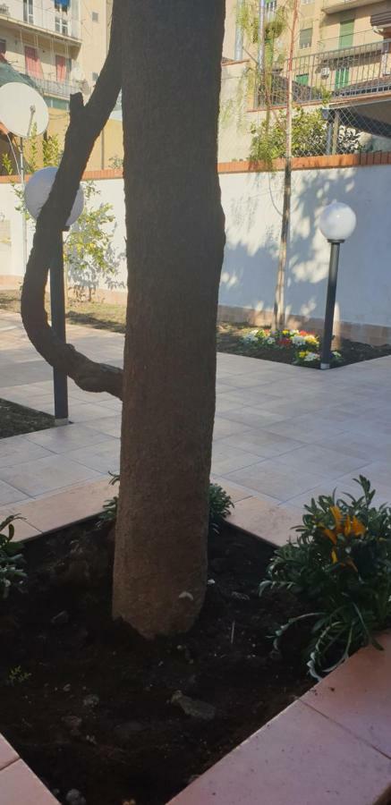 Casa Gialli CTA Exteriör bild